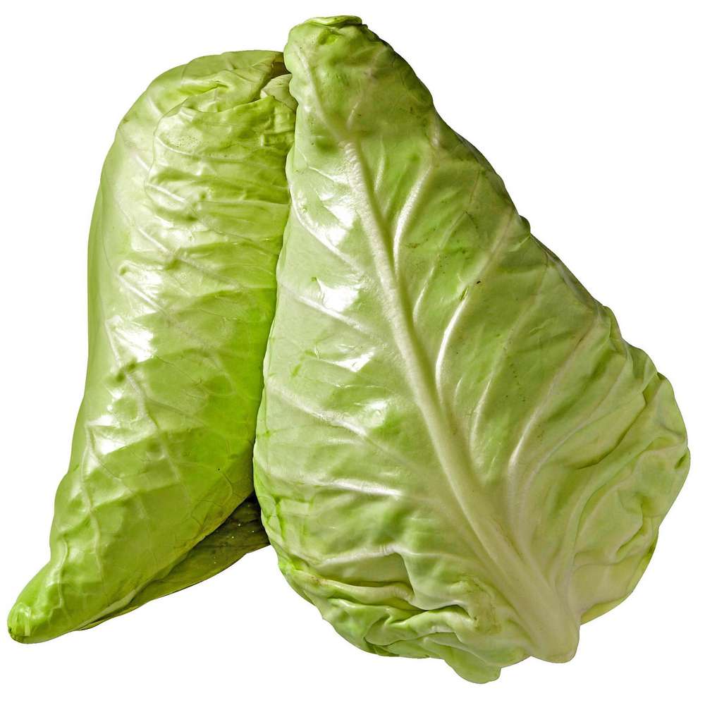 Produktabbildung keine Marke Bio Spitzkohl