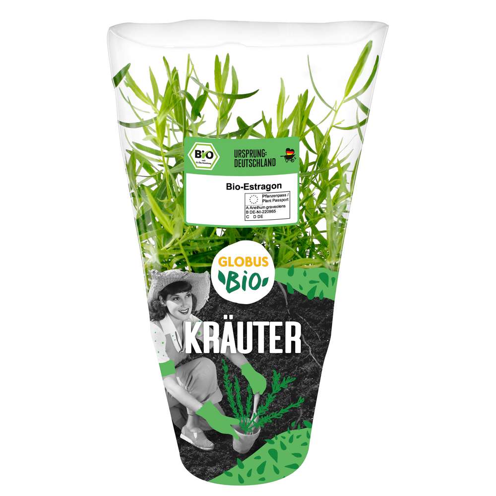Produktabbildung GLOBUS Bio Bio Estragon Topf