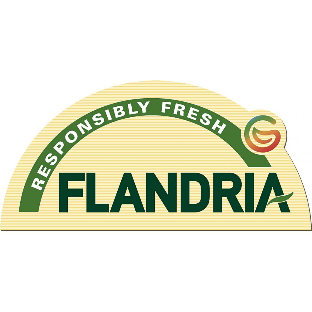 Produktabbildung keine Marke Kopfsalat, pro Stück