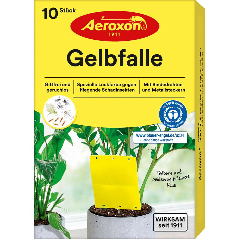 Produktabbildung Aeroxon Gelbfalle für Topfpflanzen