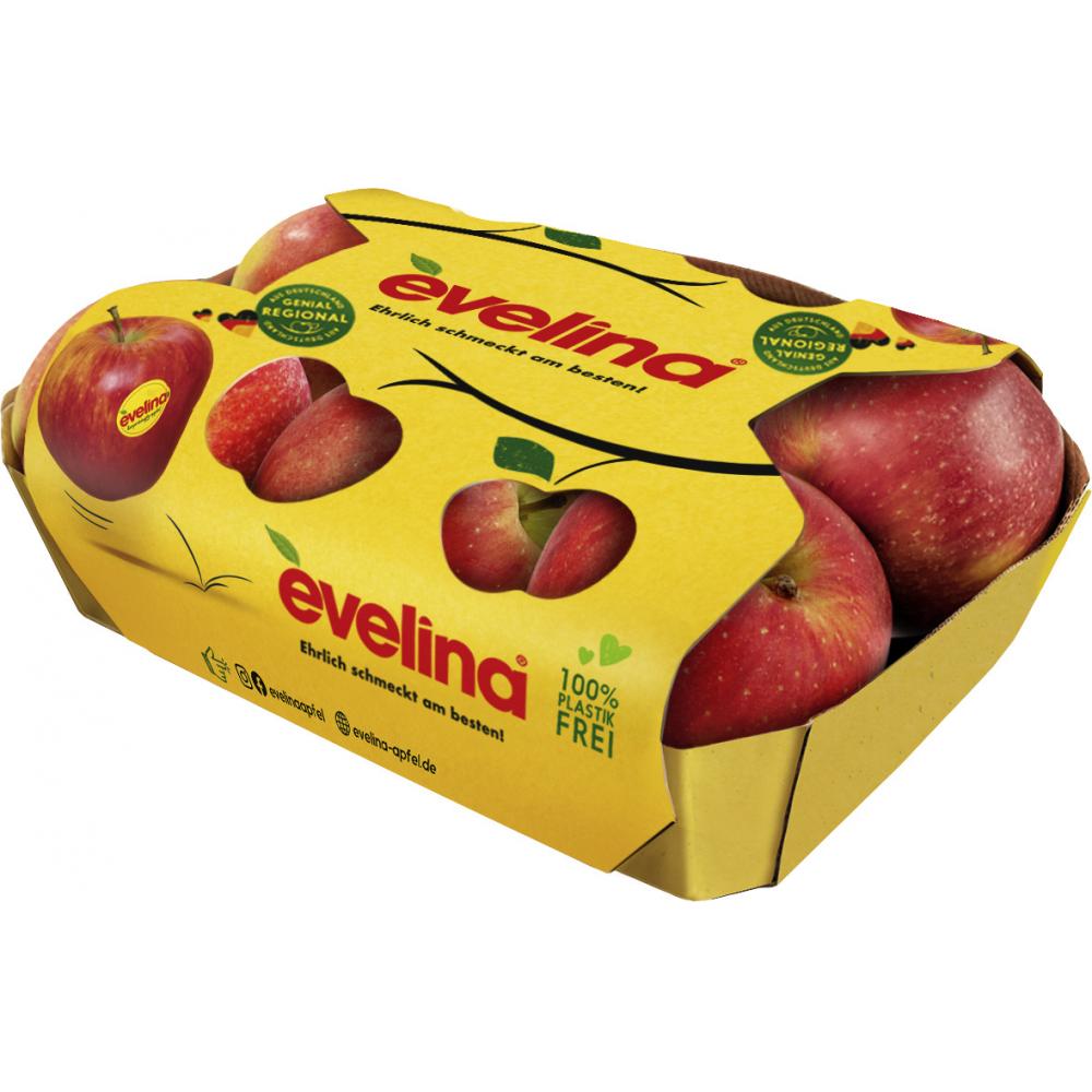 Produktabbildung keine Marke Tafeläpfel „Evelina“, 1 kg-Schale