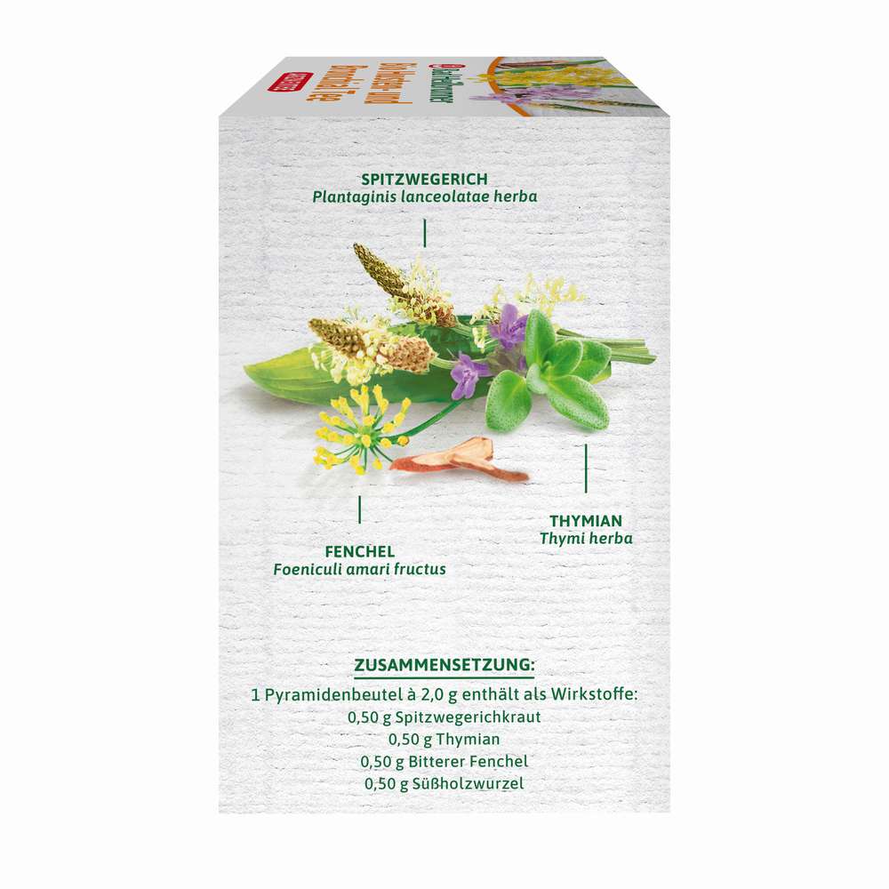 Produktabbildung Bad Heilbrunner Bio Husten- und Bronchial Tee