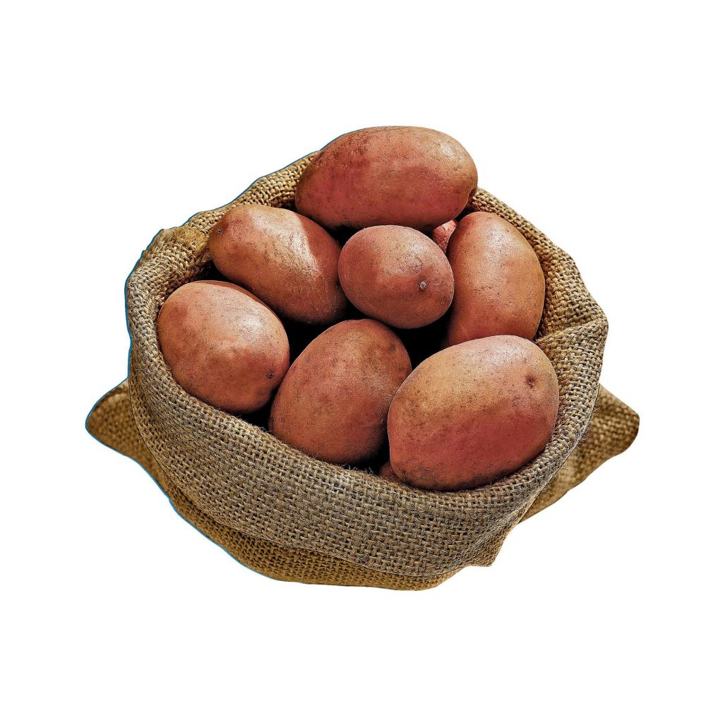 Produktabbildung keine Marke Kartoffeln rotschalig, je 10 kg-Sack