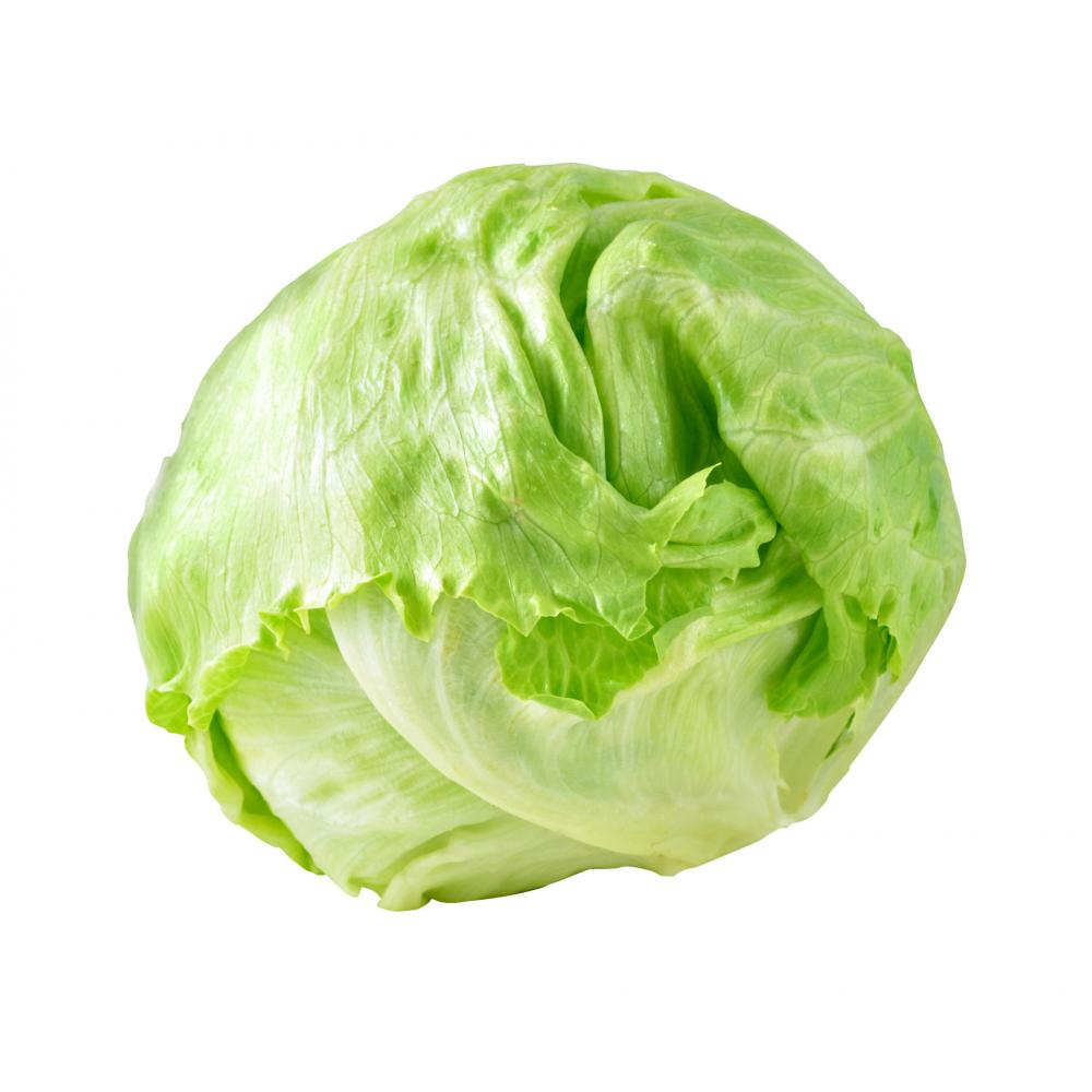Produktabbildung keine Marke Bio Eisbergsalat, pro Stück