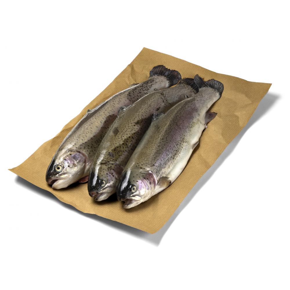 Produktabbildung keine Marke Rotfleischige Forelle, 100 g