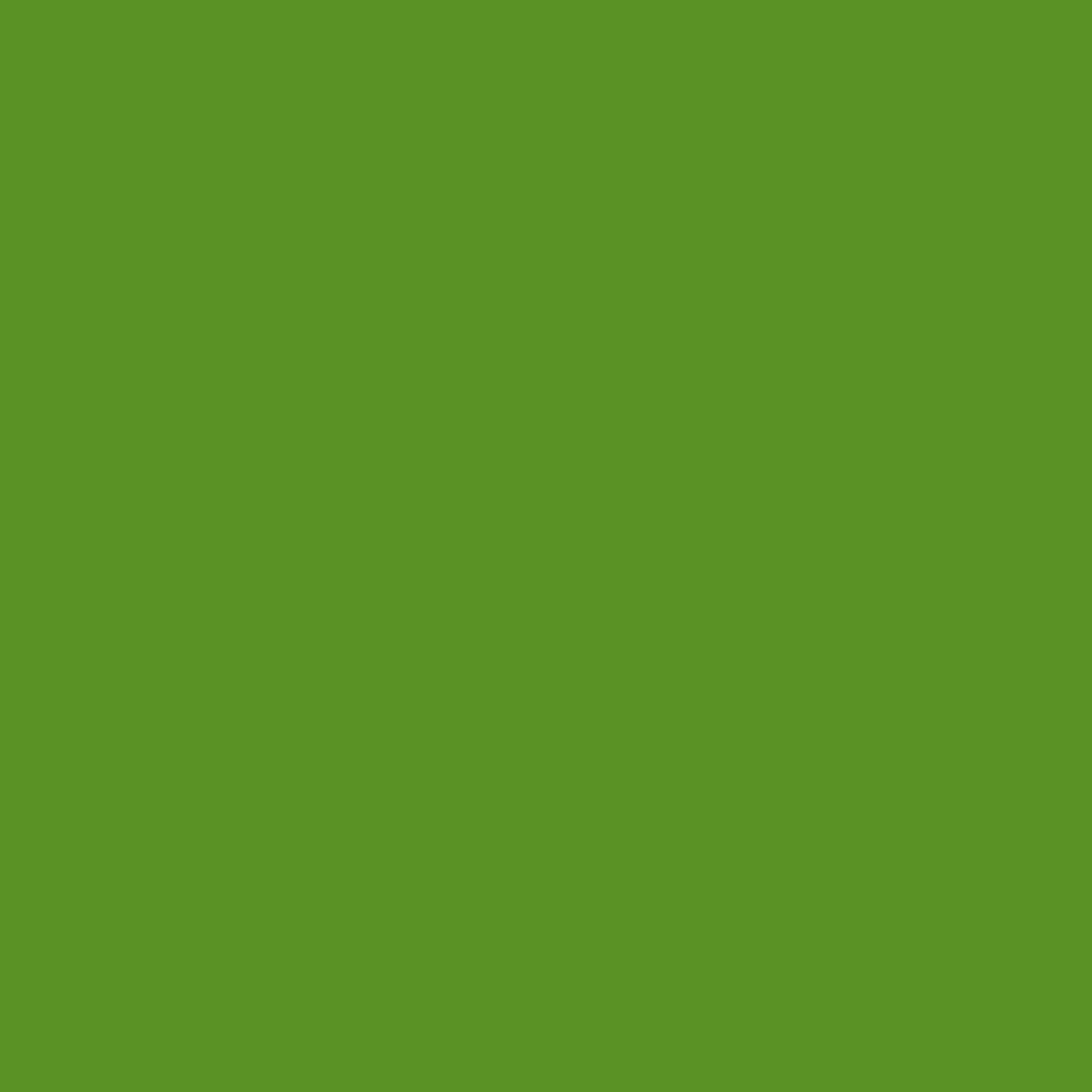 Produktabbildung Duni Servietten 24x24cm, leaf green