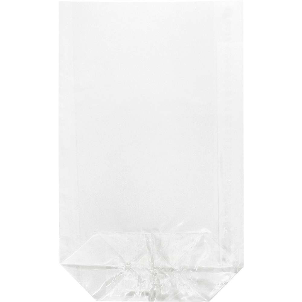 Produktabbildung Braun+Company Klarsichtbeutel, 14,5x23,5cm, 10er
