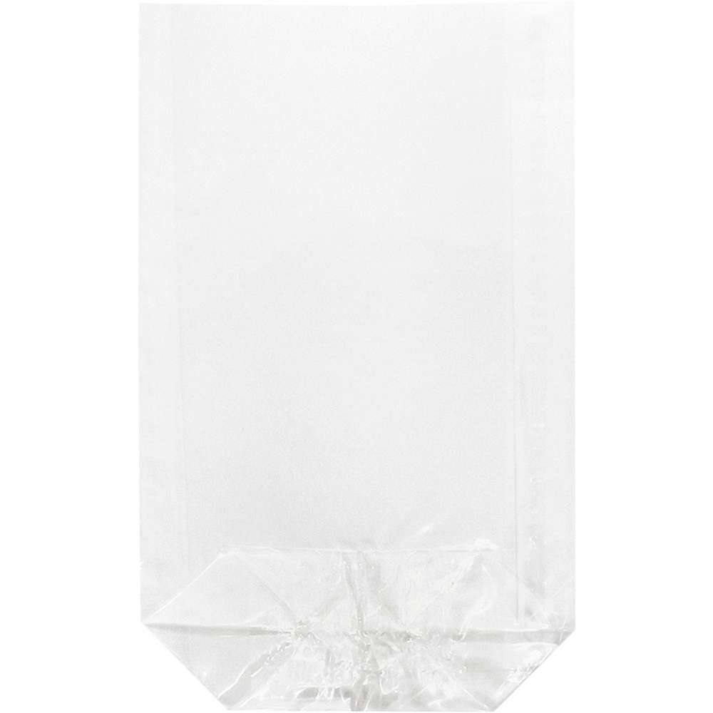 Produktabbildung Braun+Company Klarsichtbeutel, 11,5x19cm, 10er