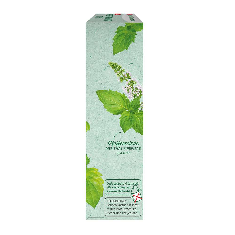 Produktabbildung Bad Heilbrunner Bio Kräutertee, Pfefferminze
