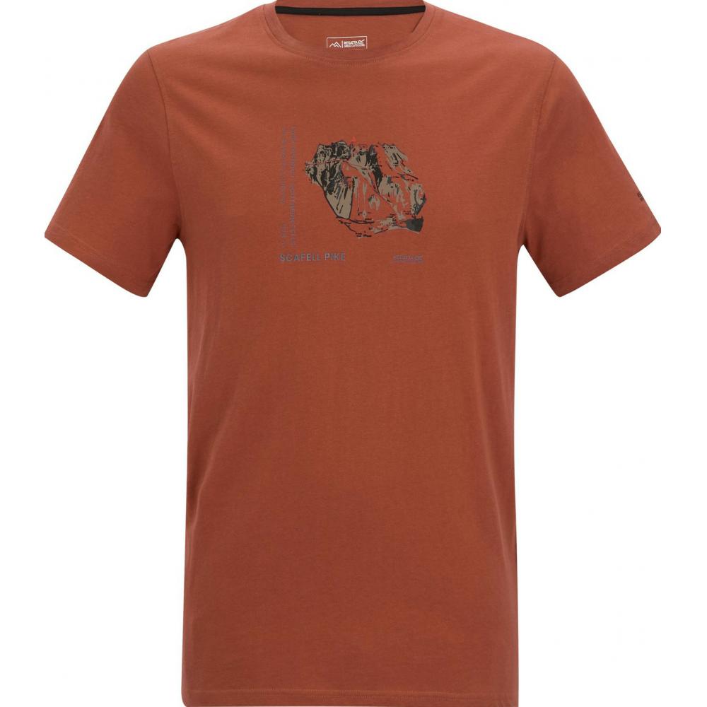 Produktabbildung keine Marke Damen- oder Herren-T-Shirt, je Artikel