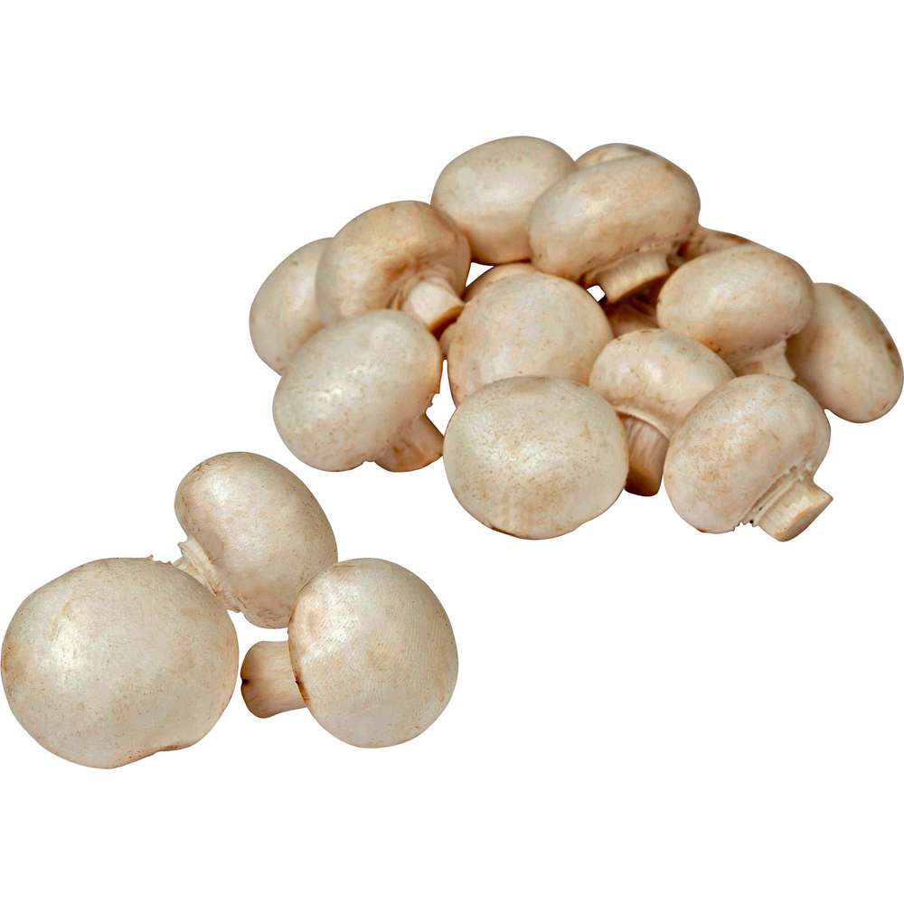Produktabbildung GLOBUS Regional Champignons weiß