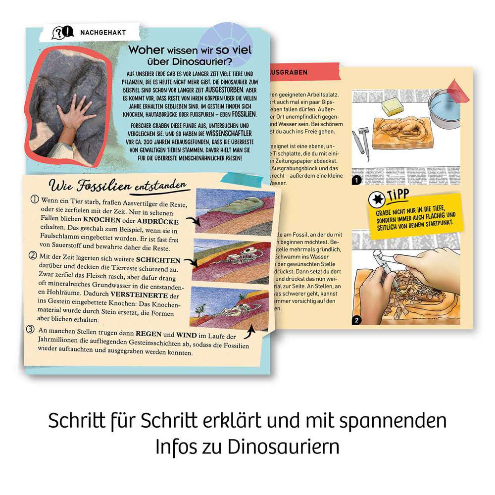 Produktabbildung Kosmos Ausgrabungs-Set T-Rex 3D