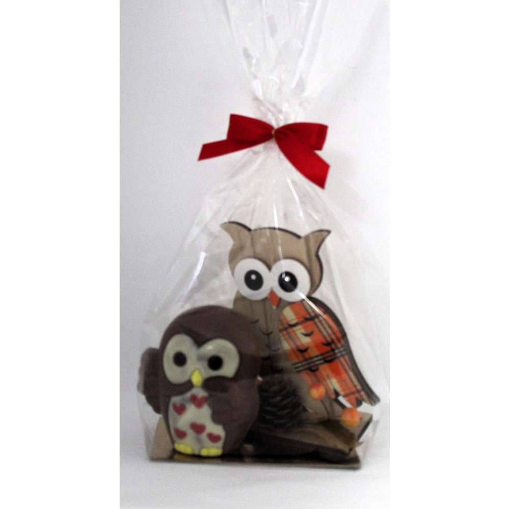 Produktabbildung Bliesgau-Schokolade Schoko Eule mit Geschenk 