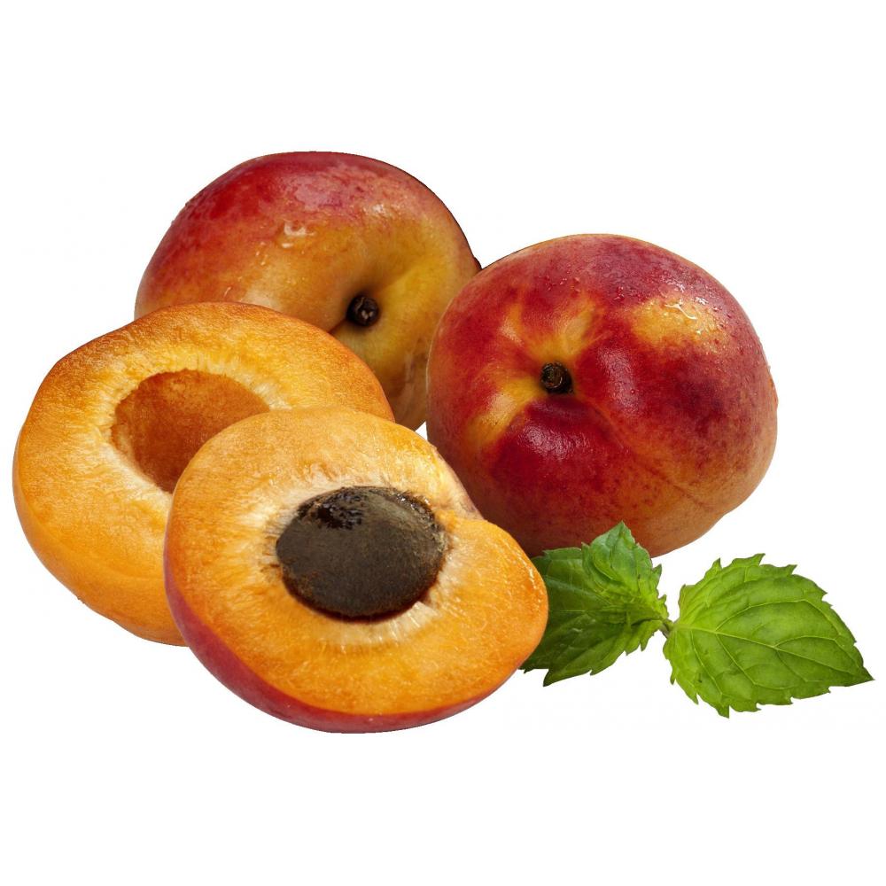 Produktabbildung keine Marke Aprikosen, je 1 kg-Schale