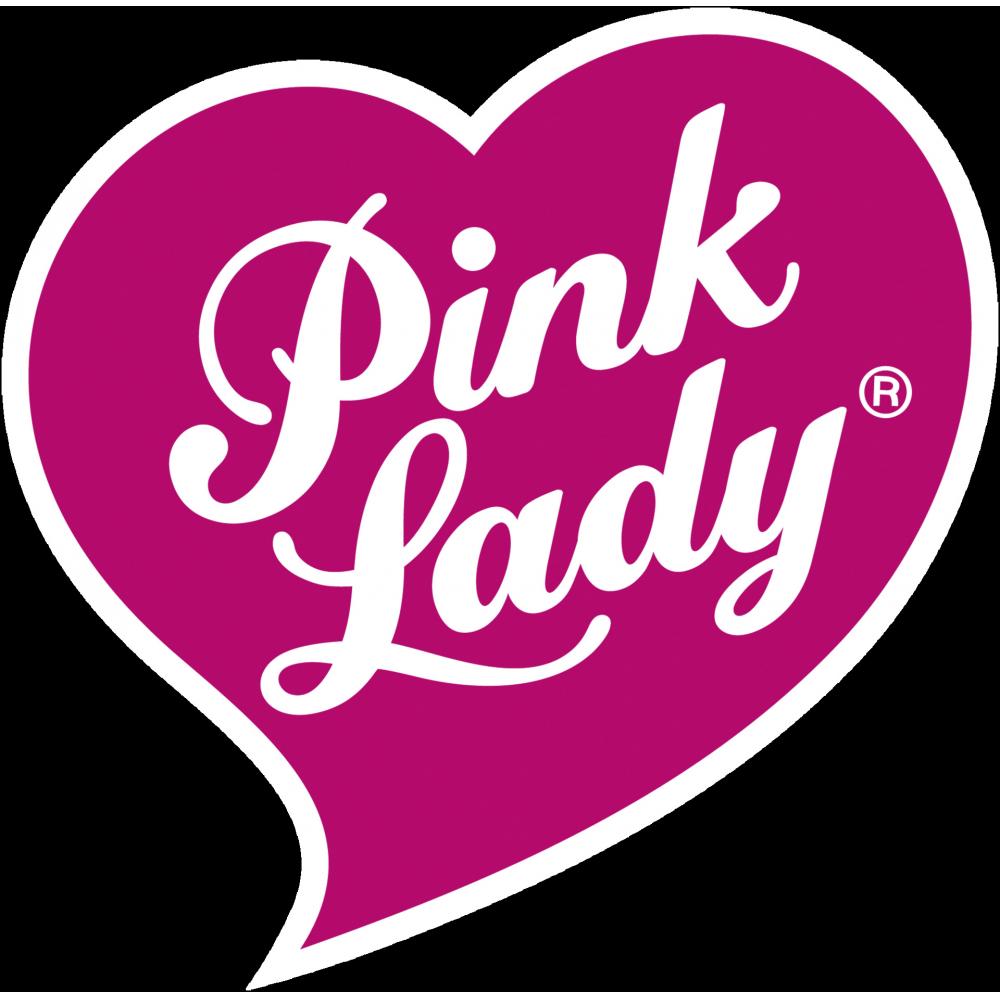 Produktabbildung keine Marke Tafeläpfel „Pink Lady“, 700 g-Schale