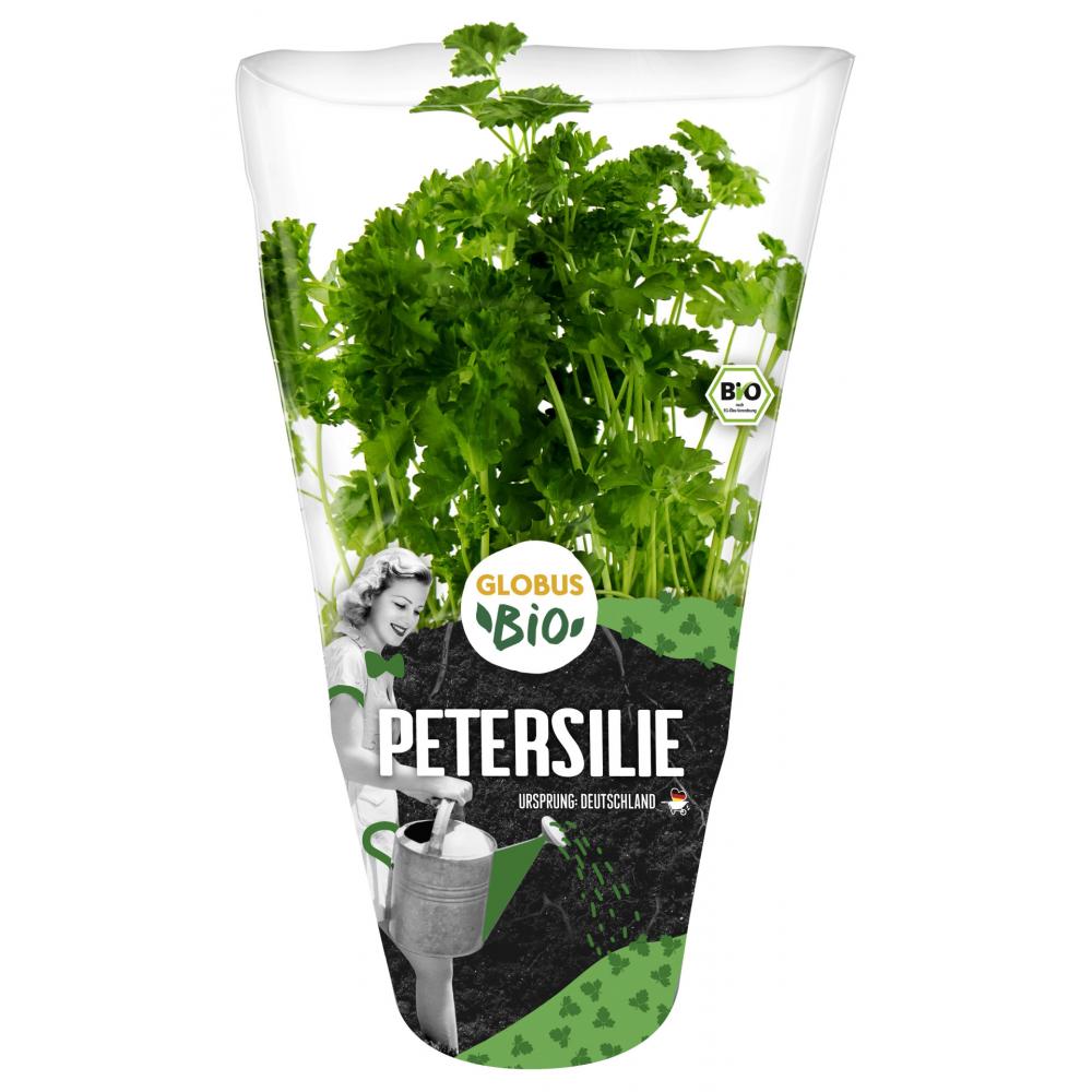 Produktabbildung keine Marke Globus Bio Petersilie kraus, je Topf