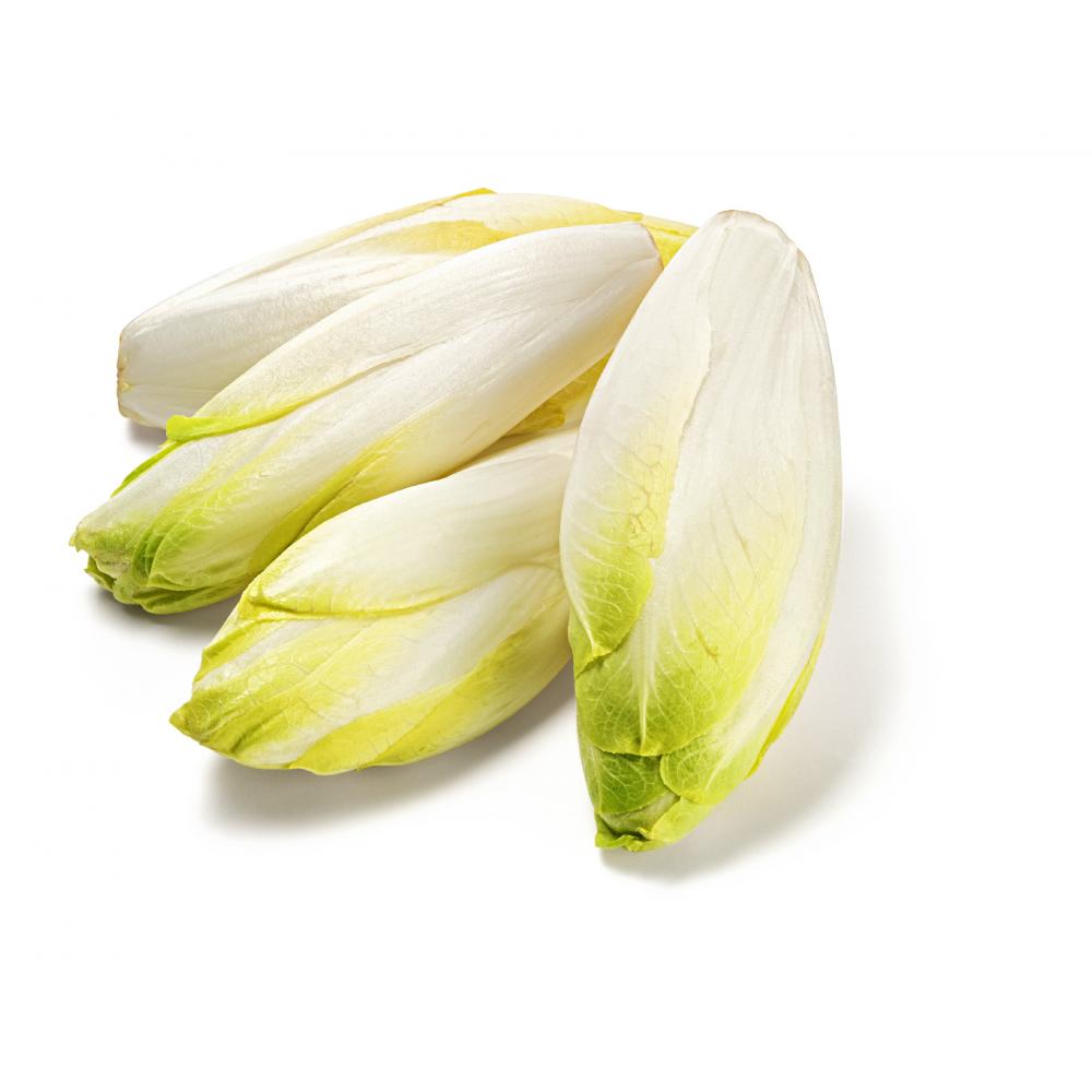 Produktabbildung keine Marke Chicoree, 500 g-Beutel