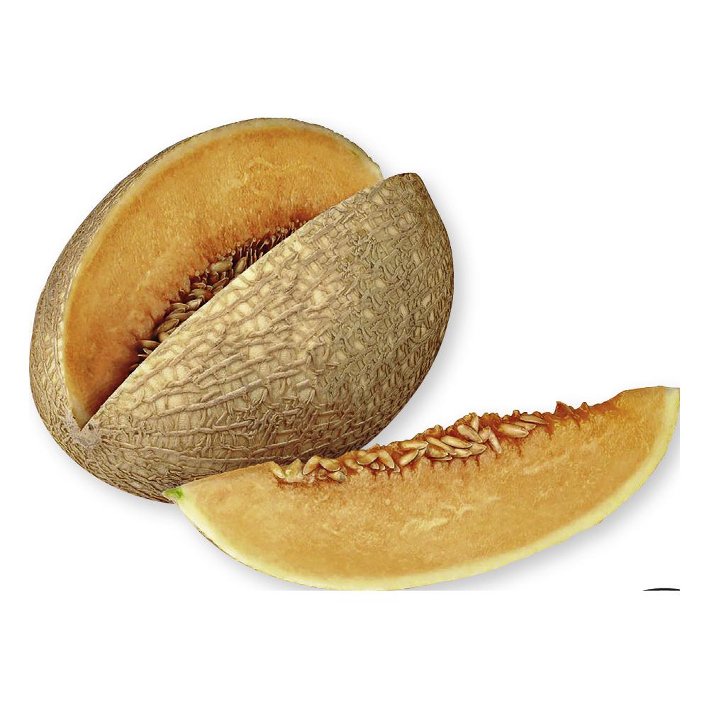 Produktabbildung keine Marke Globus Gold Waikiki-Melonen, pro Stück