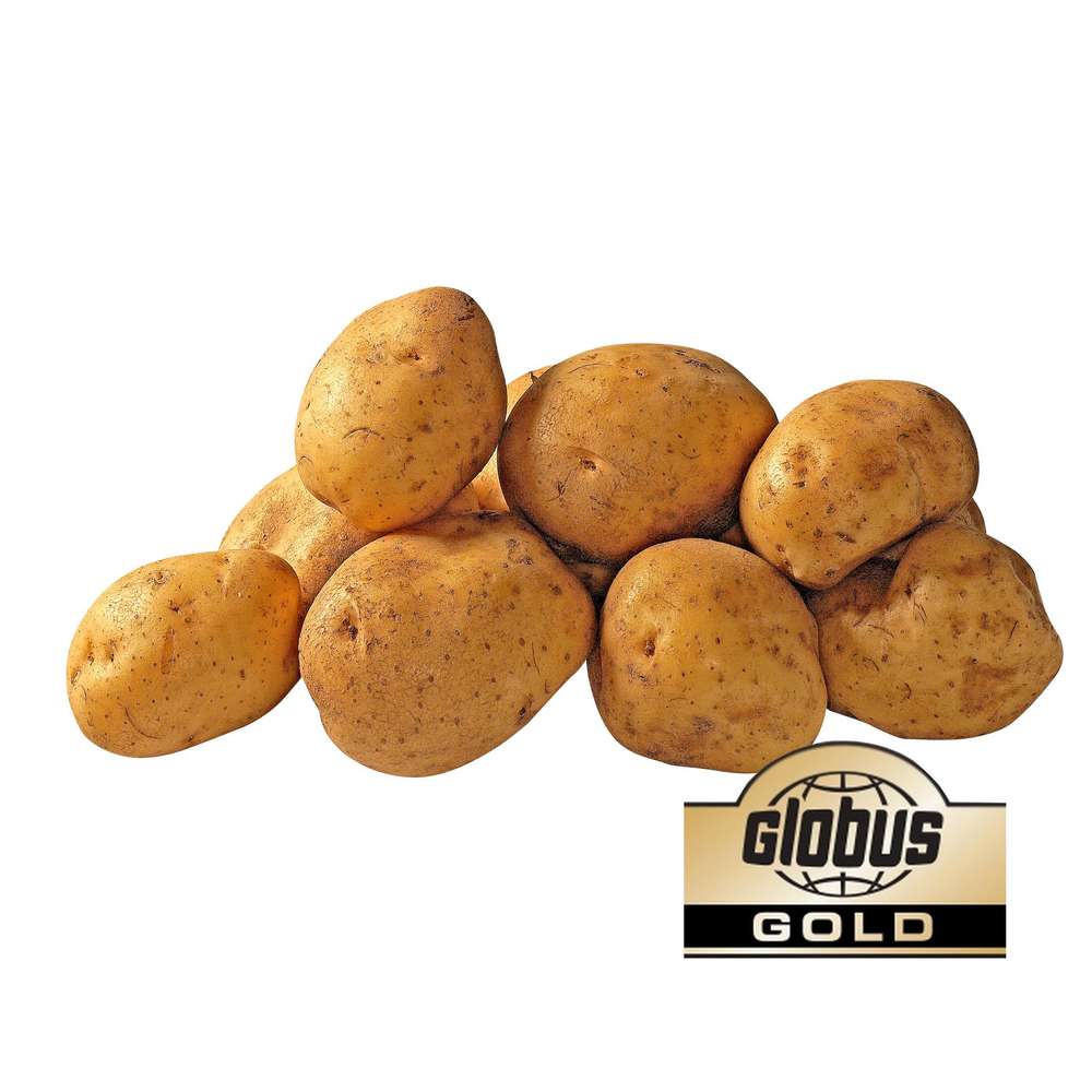 Produktabbildung GLOBUS Gold Kartoffeln, mehligkochend, Beutel