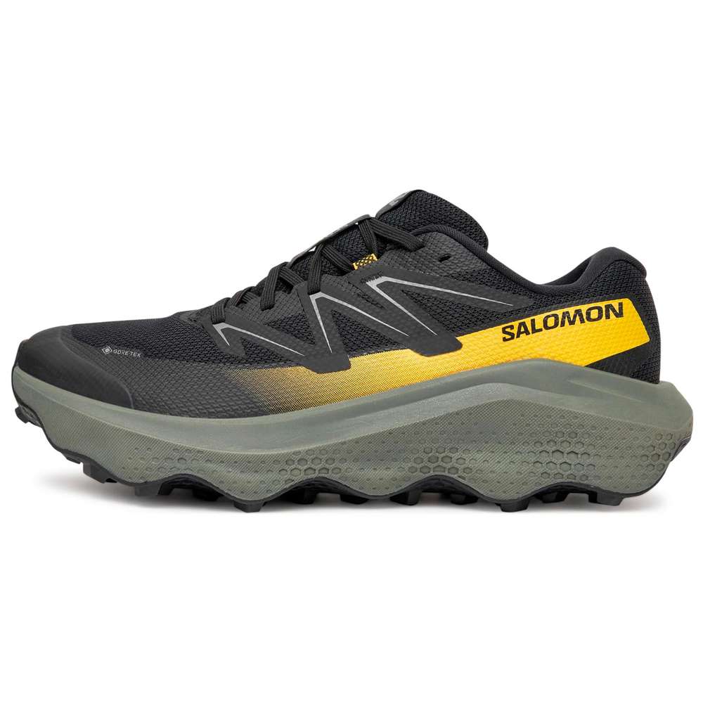 Produktabbildung Salmon Sneaker Ultra Flow 2 GTX, verschiedene Größen