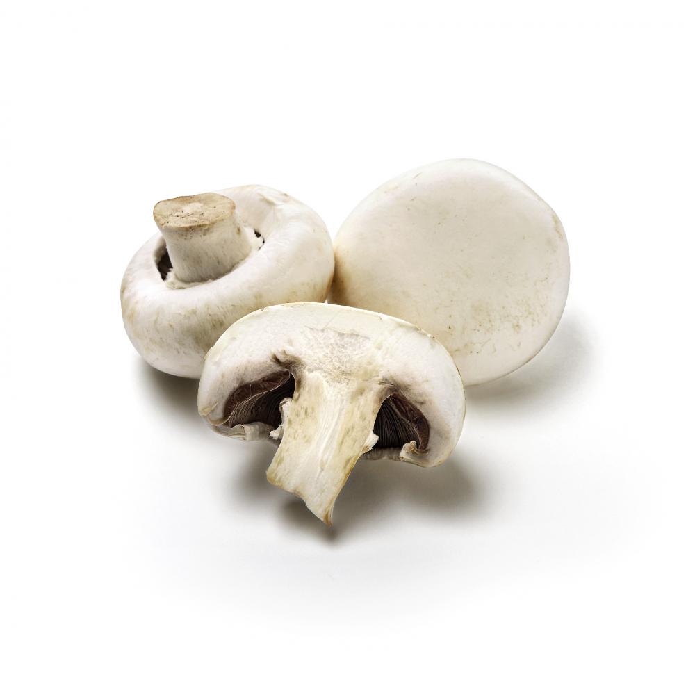 Produktabbildung keine Marke Champignons weiß, je 400 g-Schale