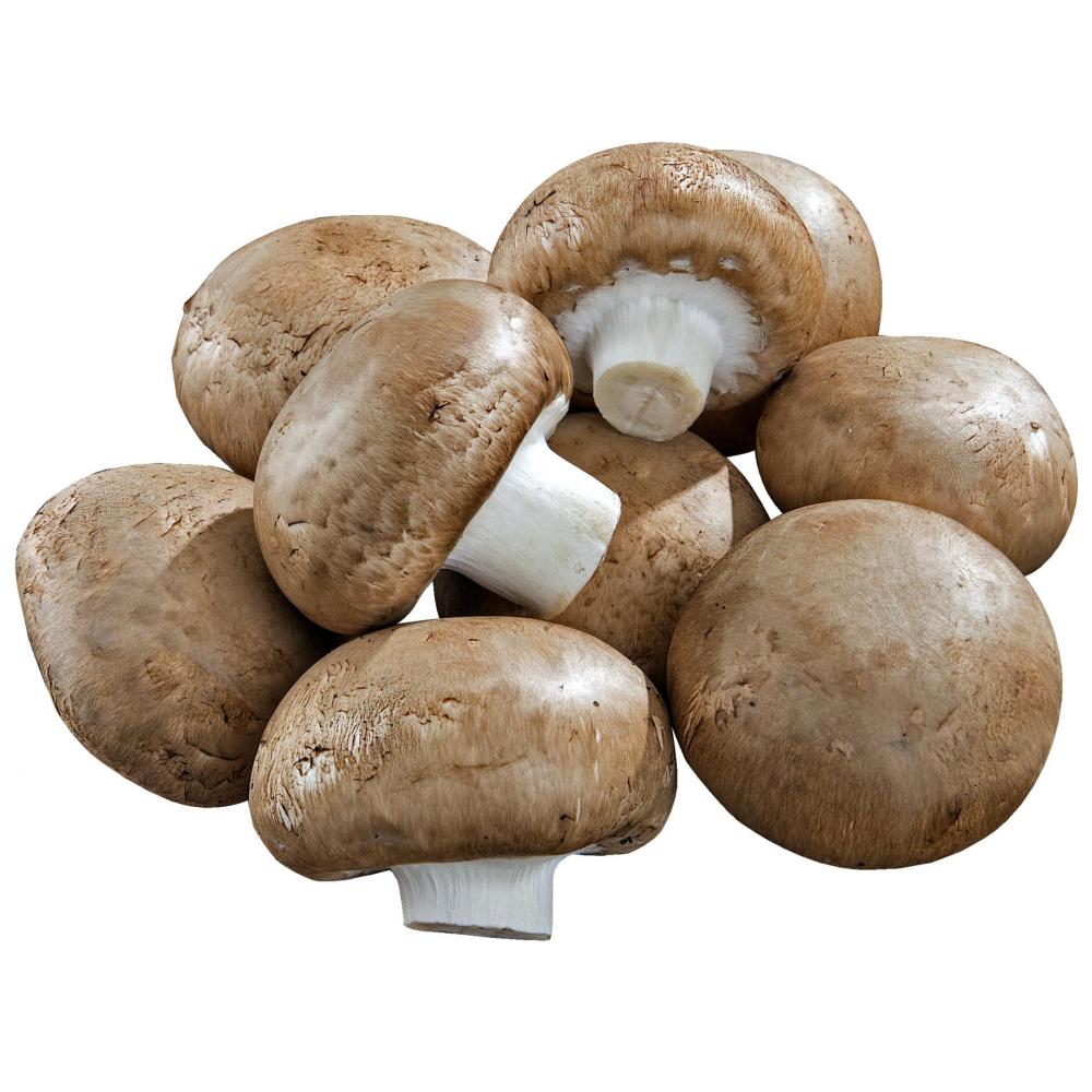 Produktabbildung keine Marke Globus Regional Riesenchampignons braun, 400 g-Schale