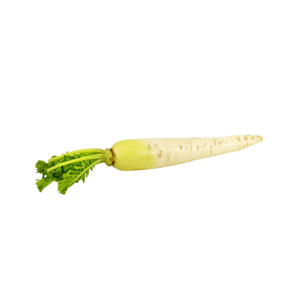Produktabbildung keine Marke Bio Rettich Piccolo