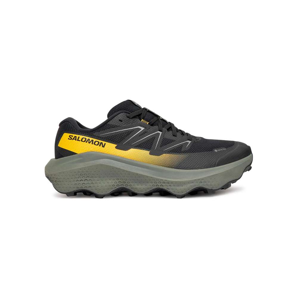 Produktabbildung Salmon Sneaker Ultra Flow 2 GTX, verschiedene Größen