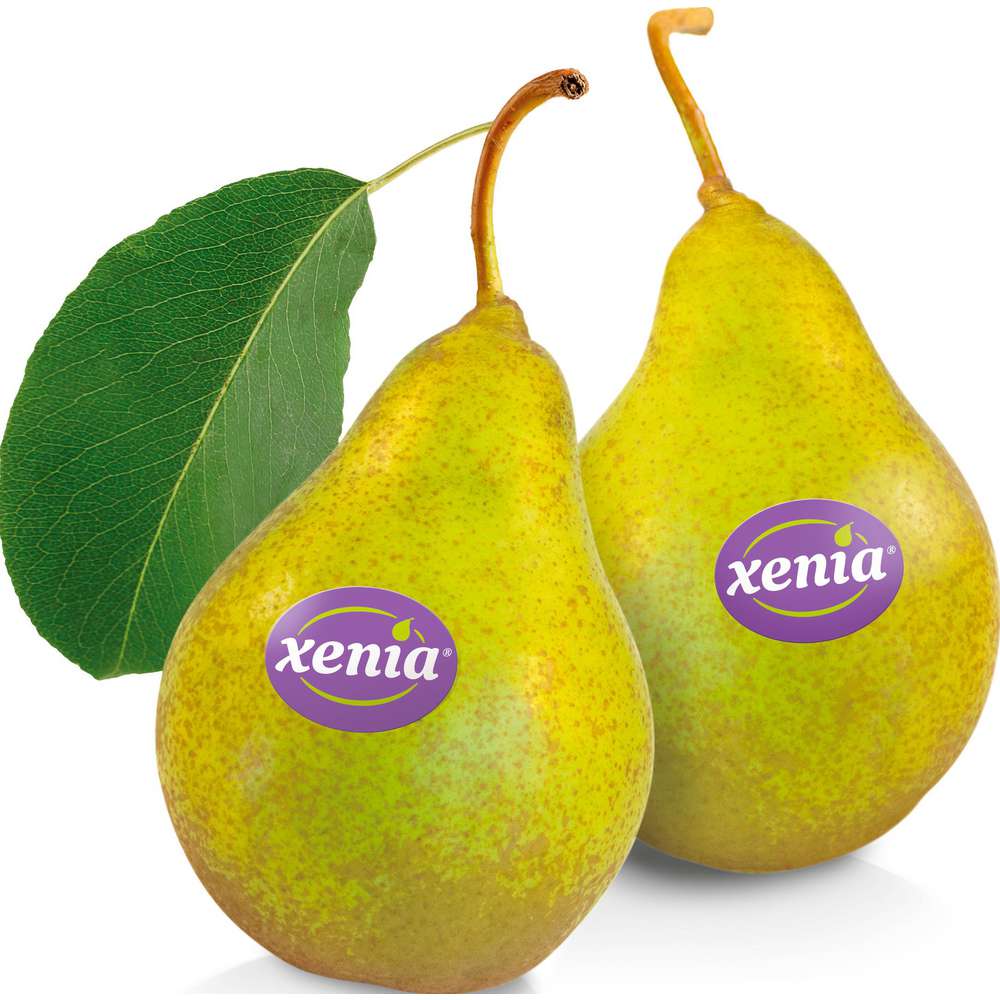 Produktabbildung keine Marke Birne Xenia, lose