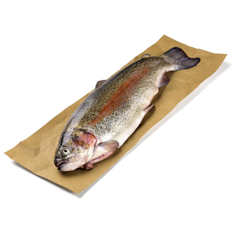 Produktabbildung keine Marke Rotfleischige Forelle, 100 g