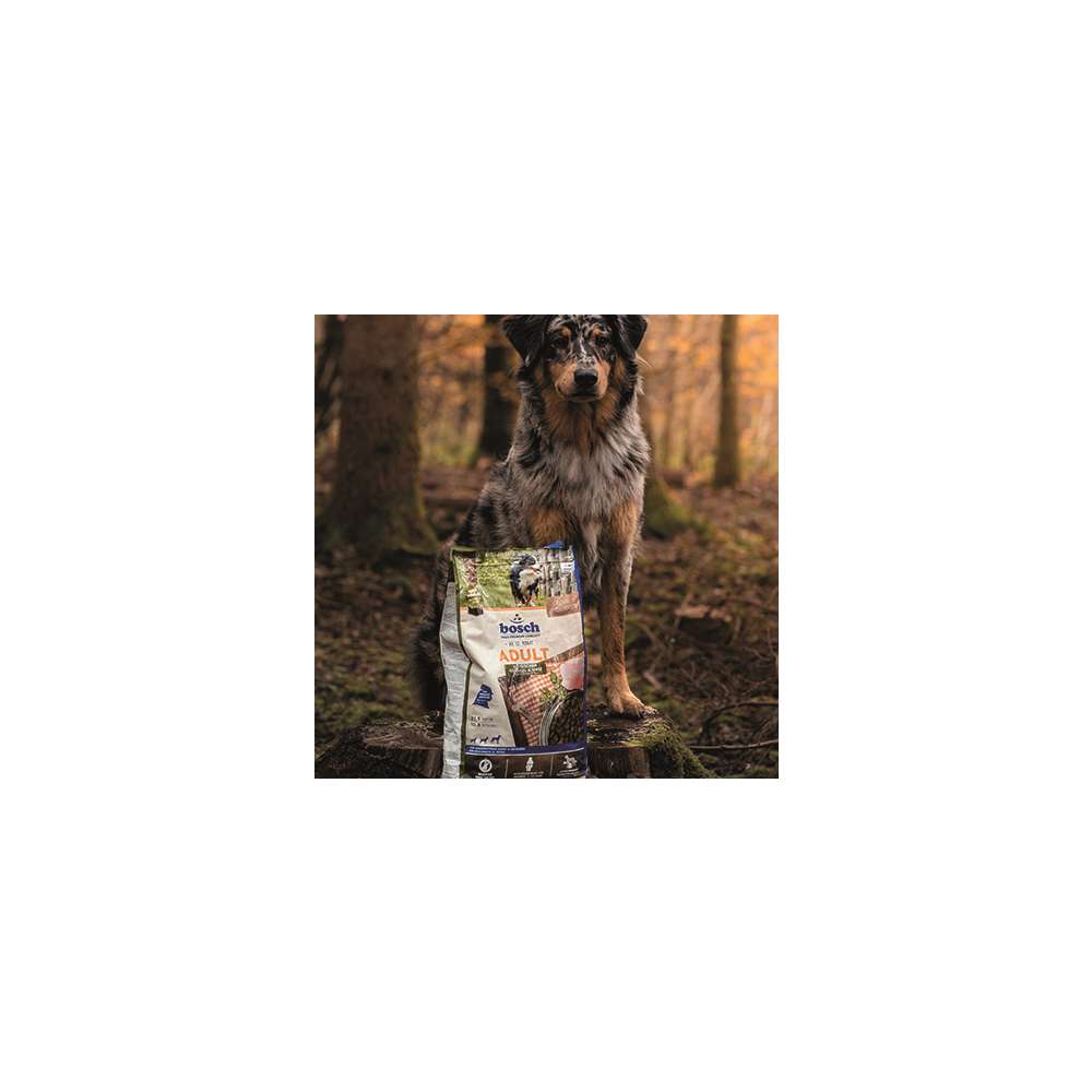 Produktabbildung Bosch Hunde-Trockenfutter Adult, Geflügel/Hirse