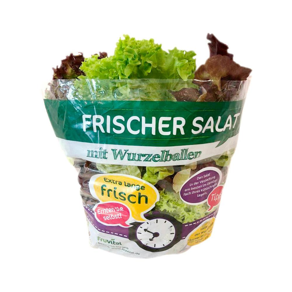 Produktabbildung keine Marke Wurzelsalate „Salanova Trio-Mix“ im Beutel, je Stück