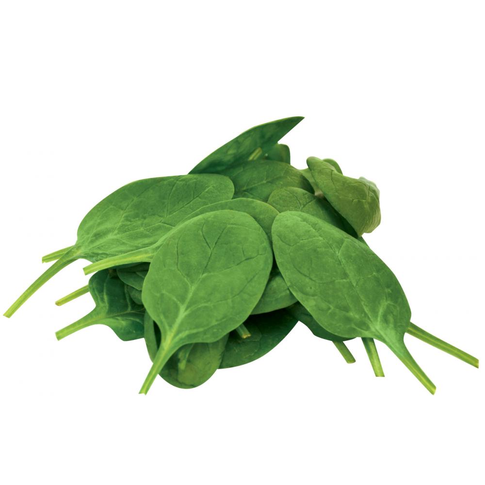 Produktabbildung keine Marke Baby-Spinat, 125 g-Schale