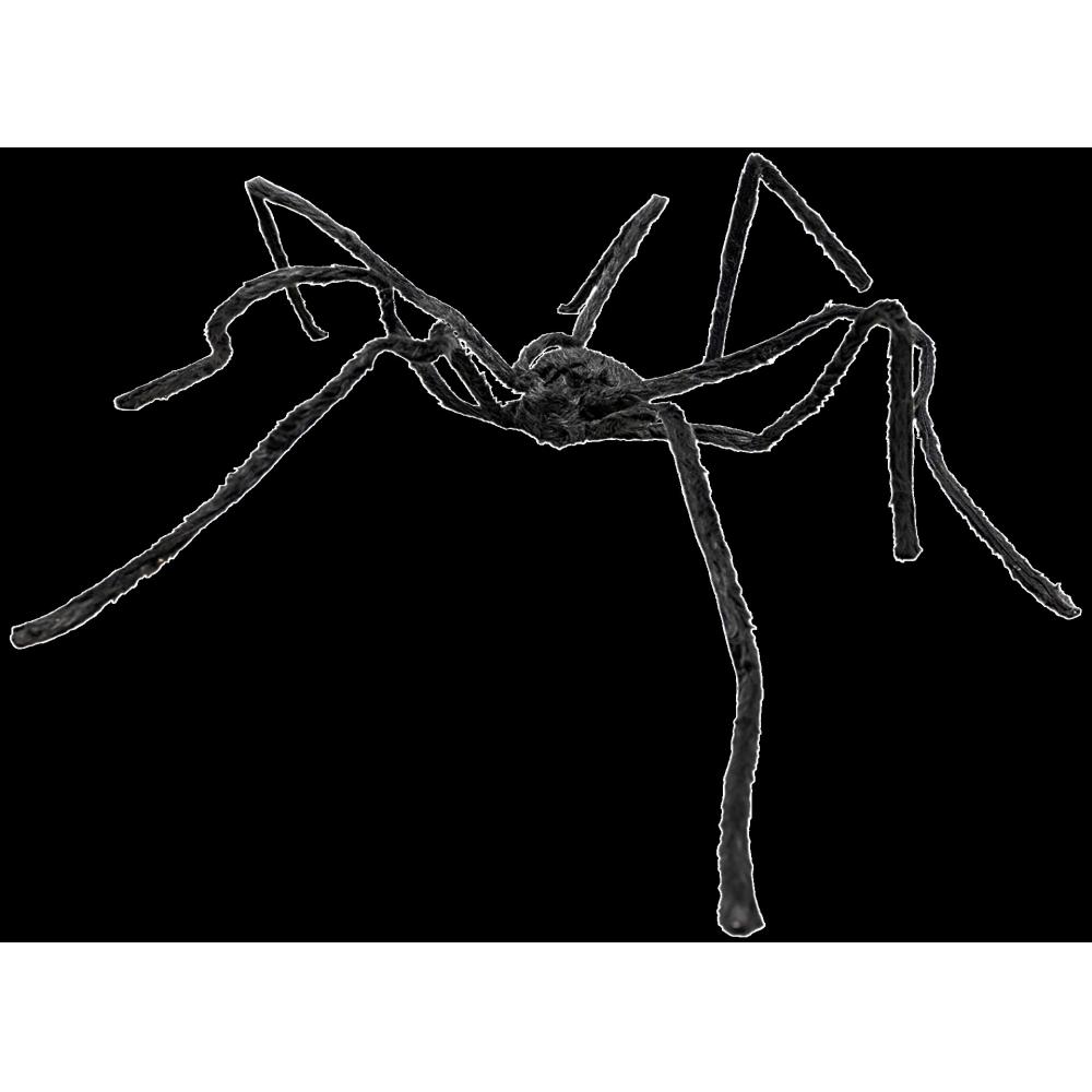 Produktabbildung keine Marke Krabbelnde Spinne