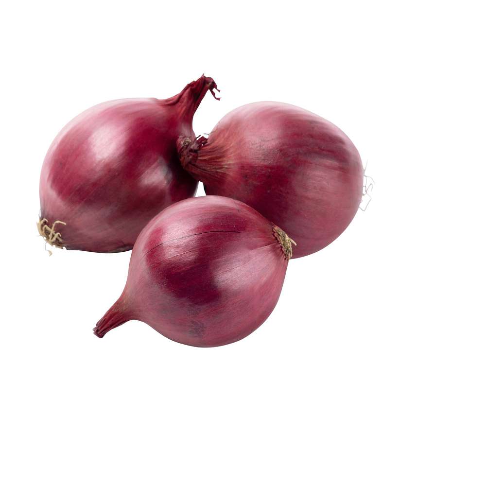 Produktabbildung keine Marke Bio Zwiebeln rot