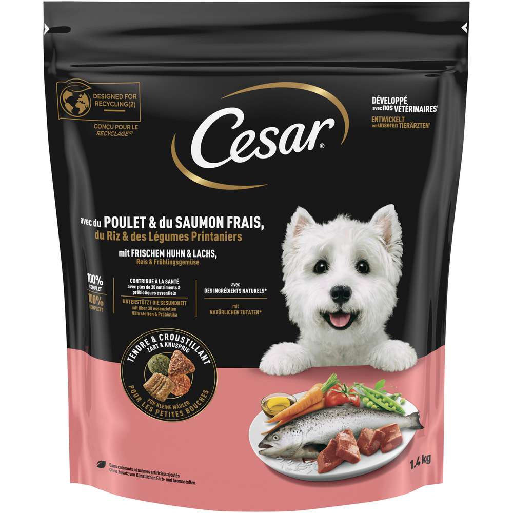 Produktabbildung Cesar Hunde-Trockenfutter, Huhn/Lachs