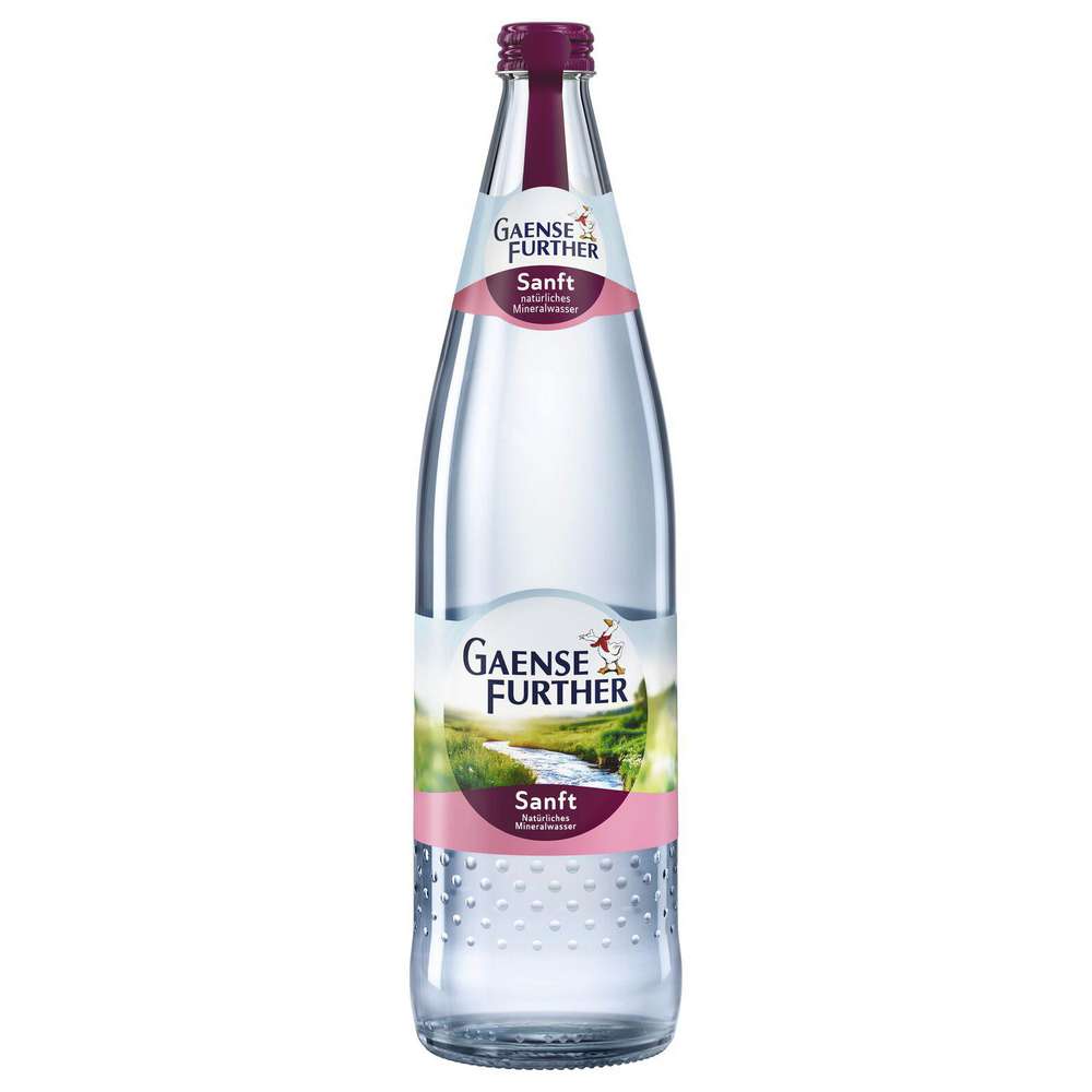 Produktabbildung Gaensefurther Schloss Quelle Mineralwasser Sanft
