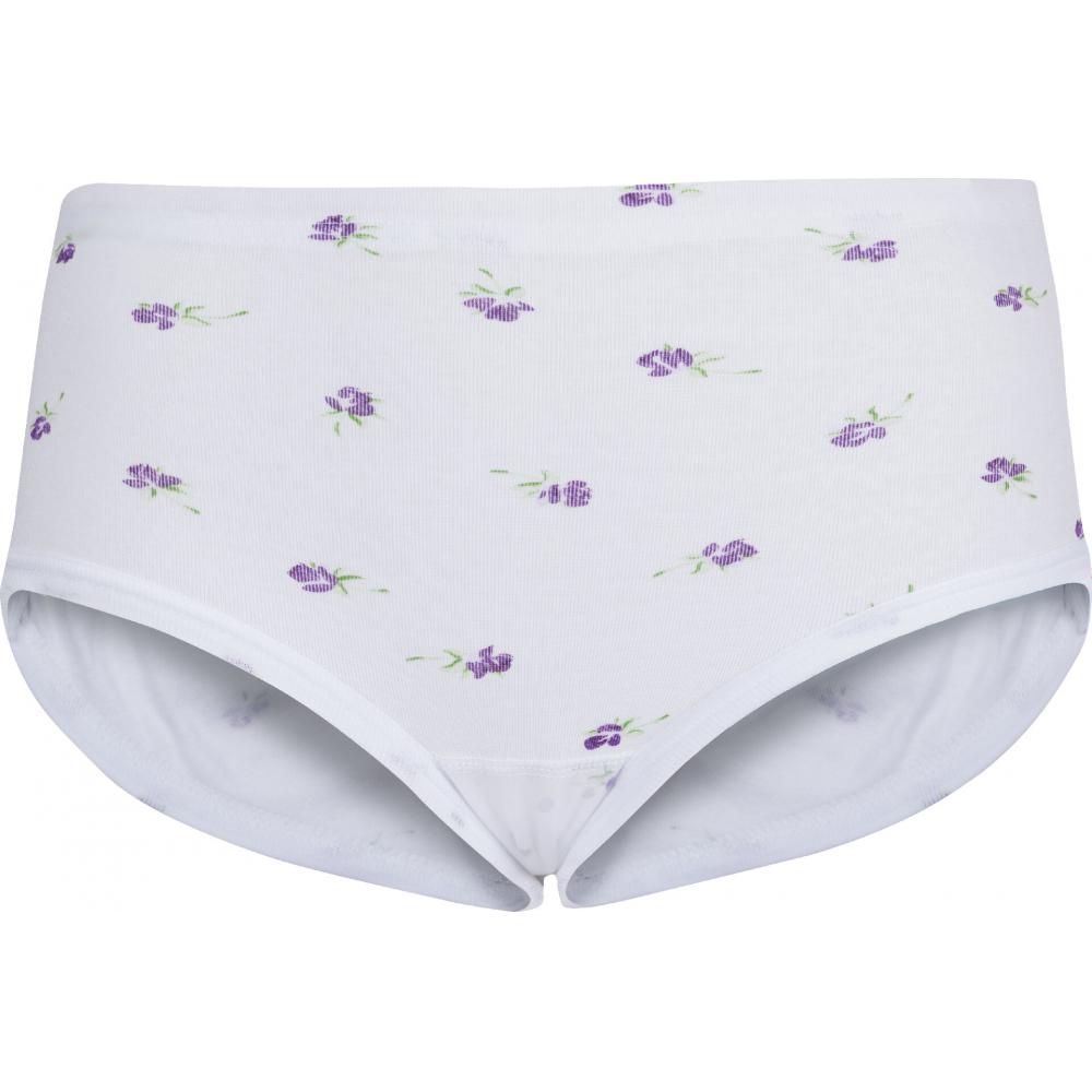 Produktabbildung keine Marke Damen-Taillenslips 4er-Pack oder OHO Herren-Slip 5er-Pack oder -Retropants 4er-Pack, je 4er-/5er-Pack
