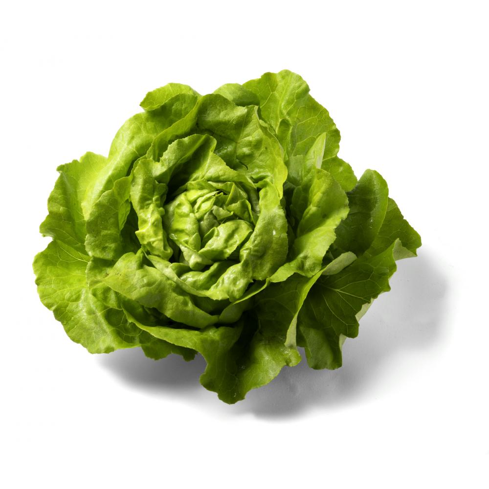 Produktabbildung keine Marke Kopfsalat, pro Stück