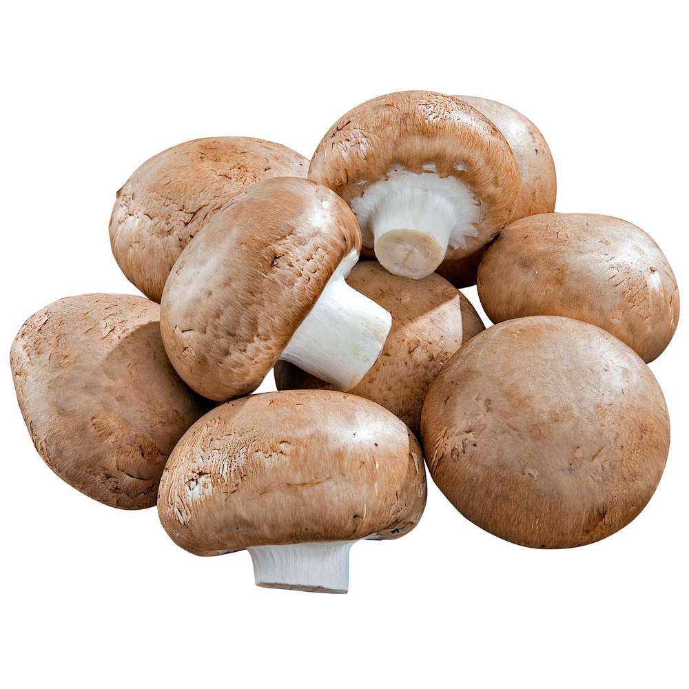 Produktabbildung keine Marke Bio Champignons braun