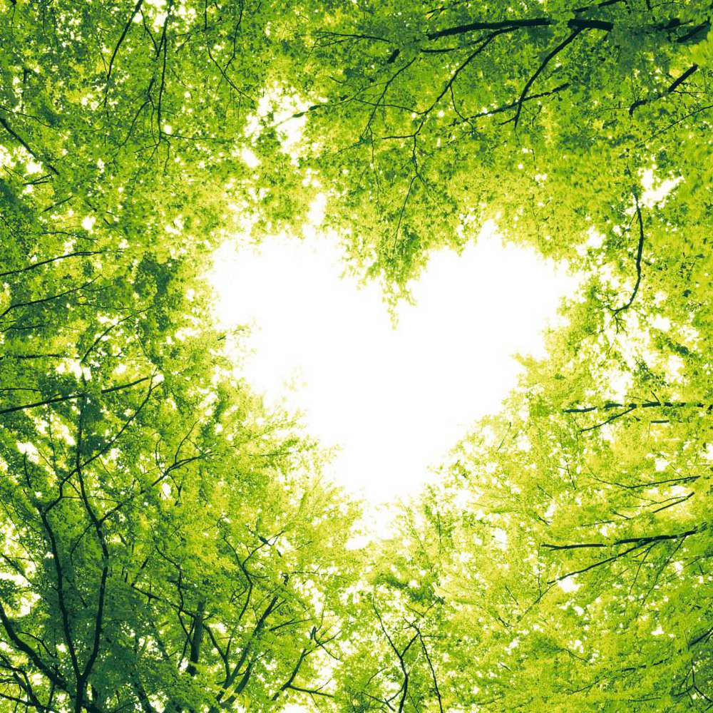 Produktabbildung Duni Tissue-Servietten Nature Love, 33 x 33 cm, 3-lagig