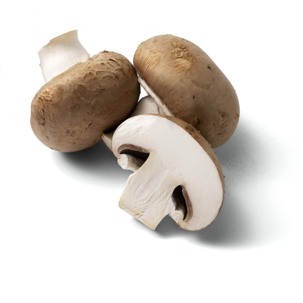 Produktabbildung keine Marke Champignons braun, je 400 g-Schale