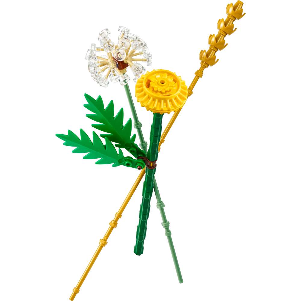 Produktabbildung Lego LEGO Botanicals Feldblumen 30701