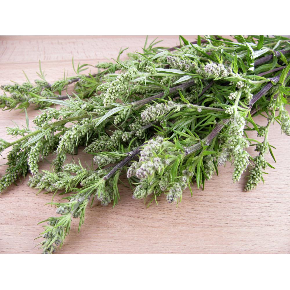 Produktabbildung keine Marke Beifuß, 20–25 g