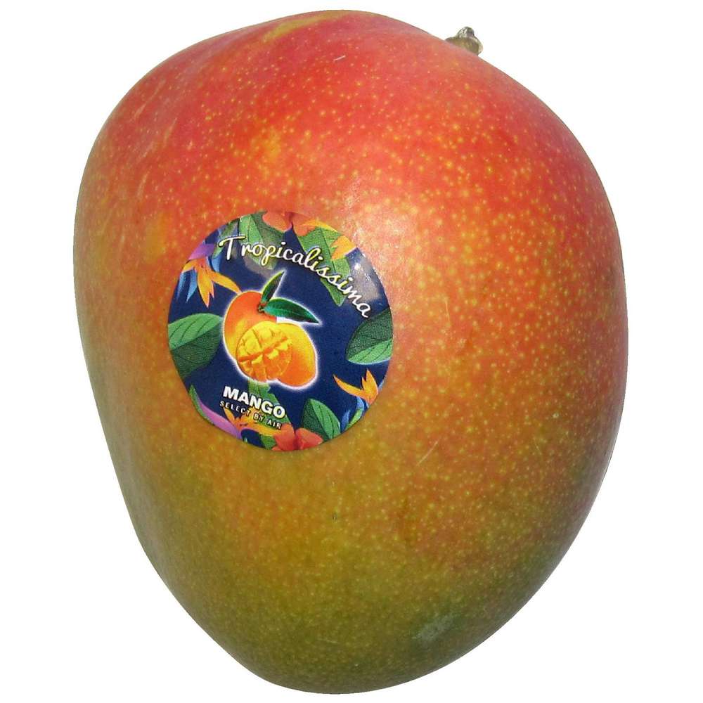 Produktabbildung keine Marke Mango 