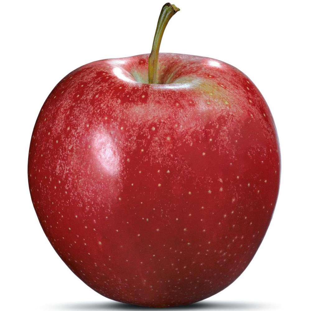 Produktabbildung keine Marke Tafeläpfel Elstar, 2 kg-Beutel