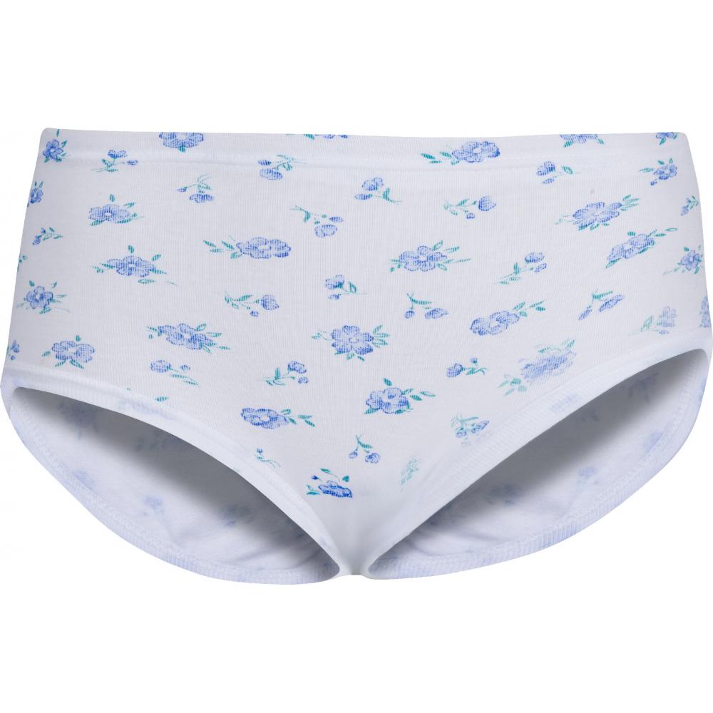 Produktabbildung keine Marke Damen-Taillenslips 4er-Pack oder OHO Herren-Slip 5er-Pack oder -Retropants 4er-Pack, je 4er-/5er-Pack