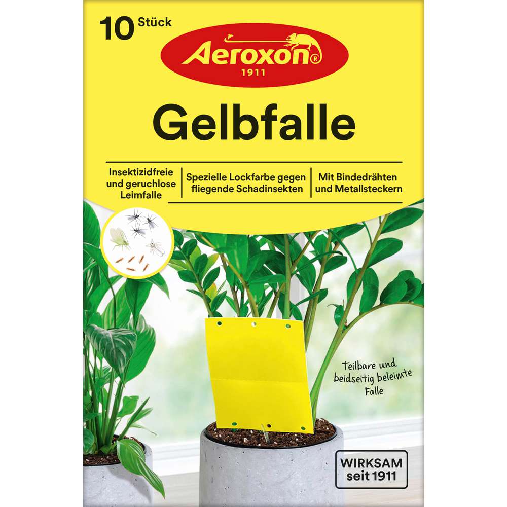 Produktabbildung Aeroxon Gelbfalle für Topfpflanzen