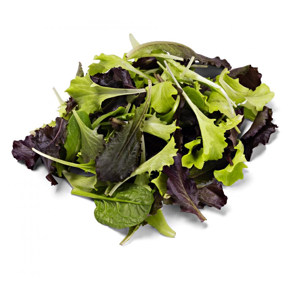 Produktabbildung keine Marke Pflücksalat, 125 g-Schale