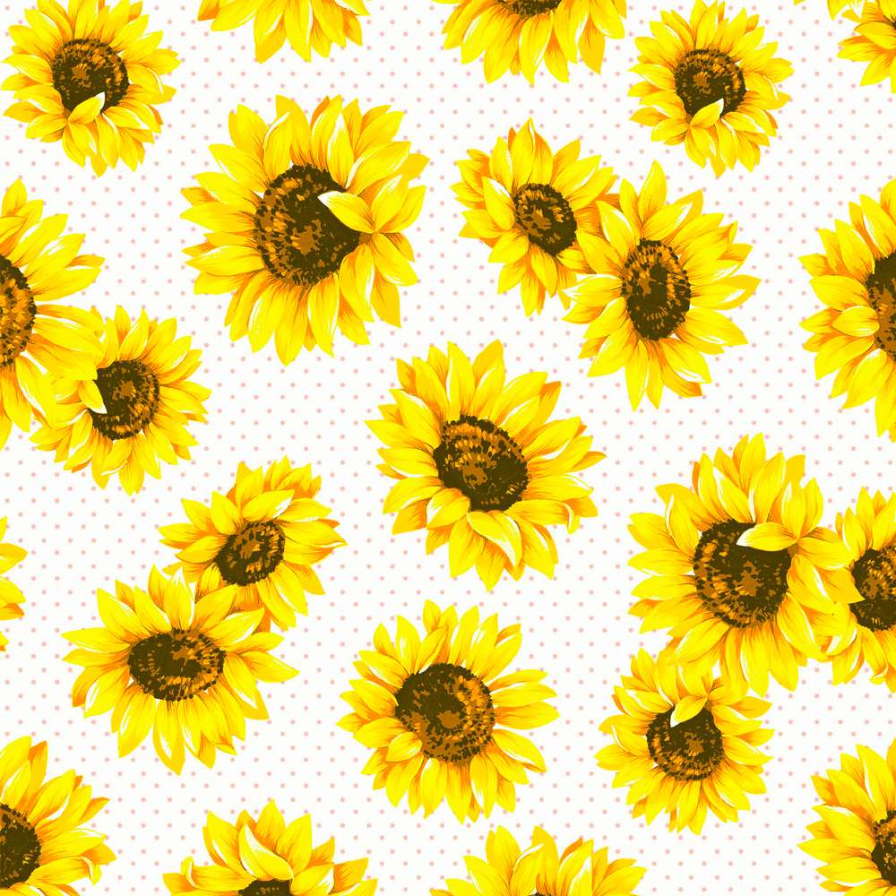 Produktabbildung Duni Servietten 33x33cm, Sunflower Garden